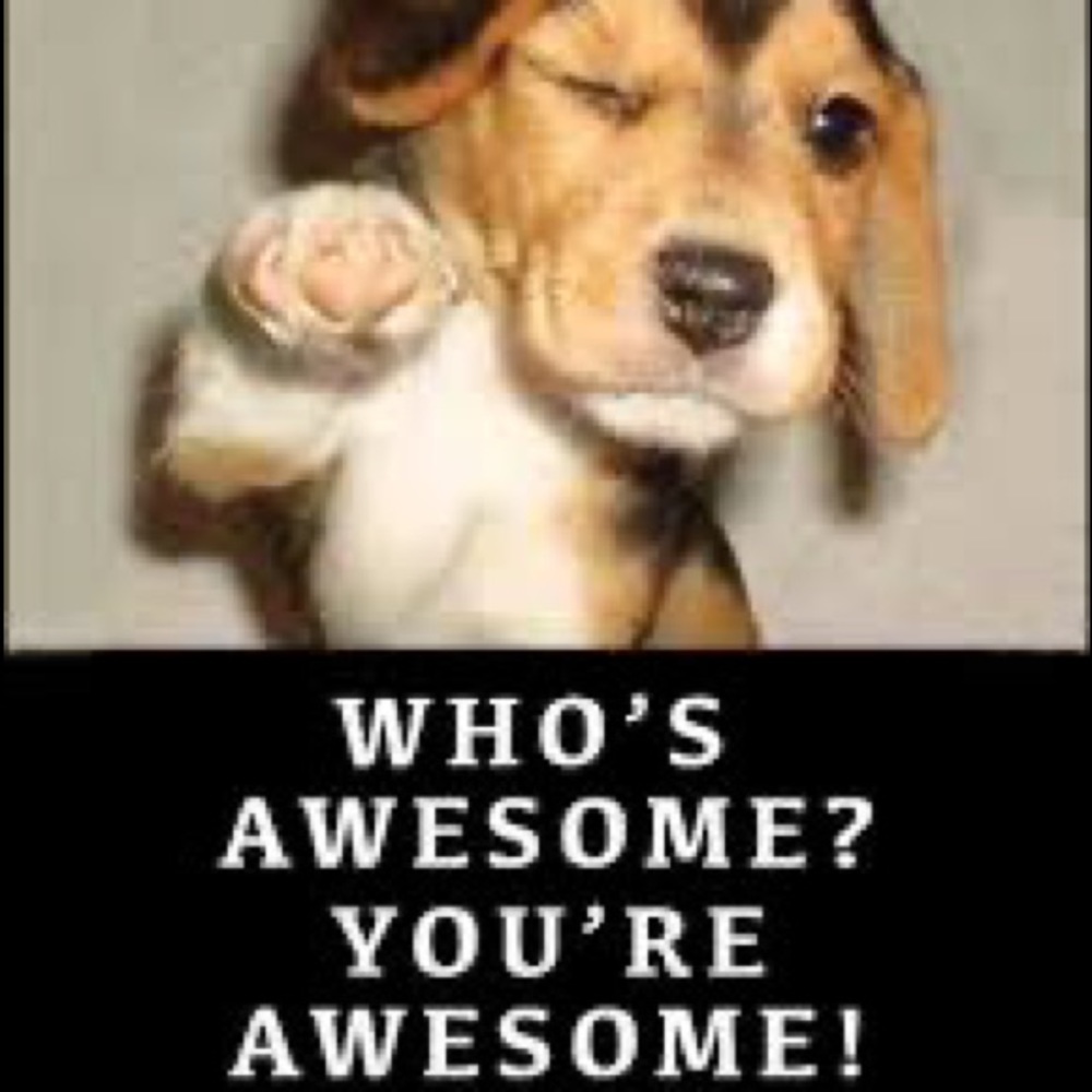 🍎new Follow game🥑